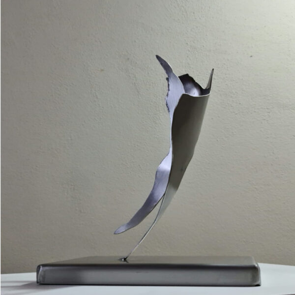 El vuelo de Afrodita